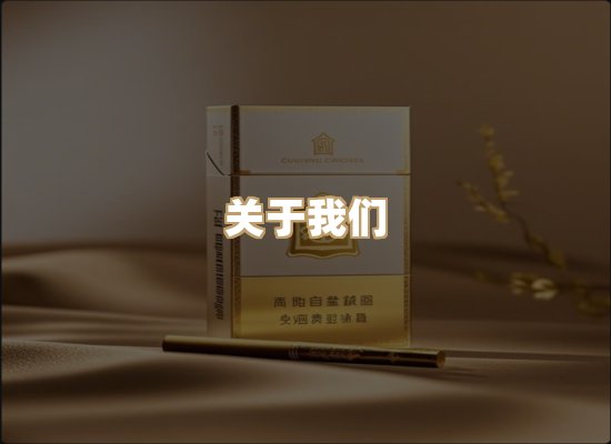 关于御龙烟网